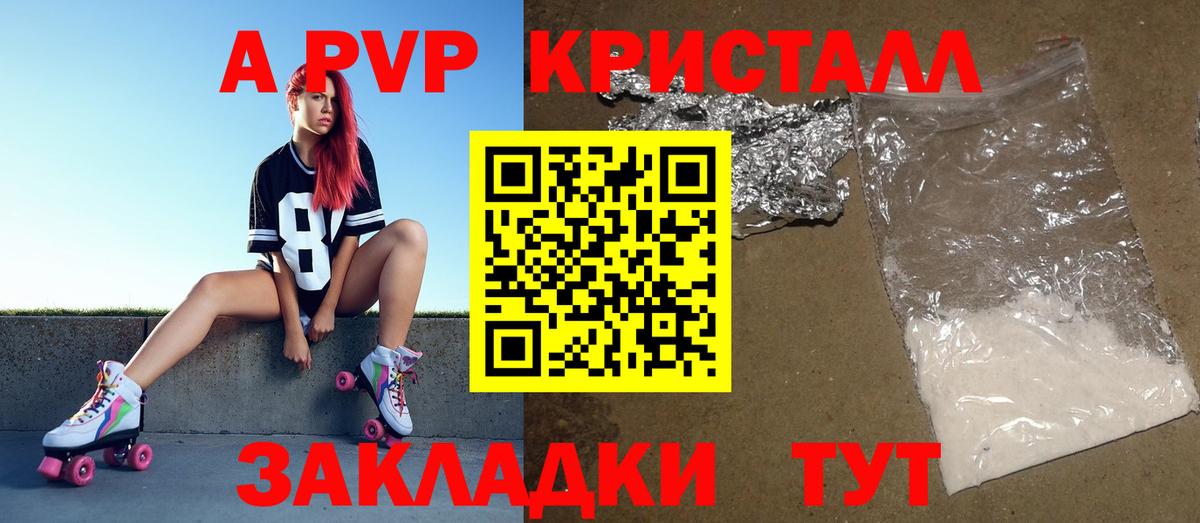 Alfa_PVP СК КРИС Балтийск