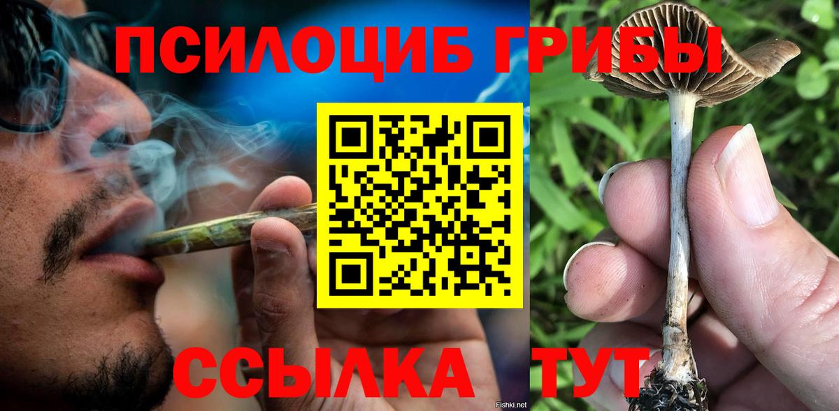Балтийск  Псилоцибиновые грибы ЛСД  Вход с VPN 