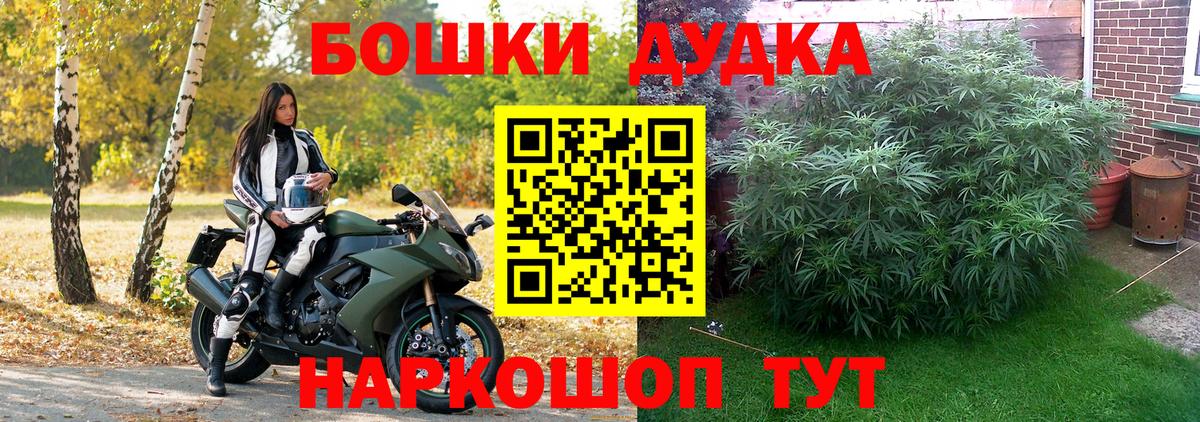 Бошки Шишки конопля  Вход с VPN  Конопля план  Балтийск  МАРИХУАНА VHQ 